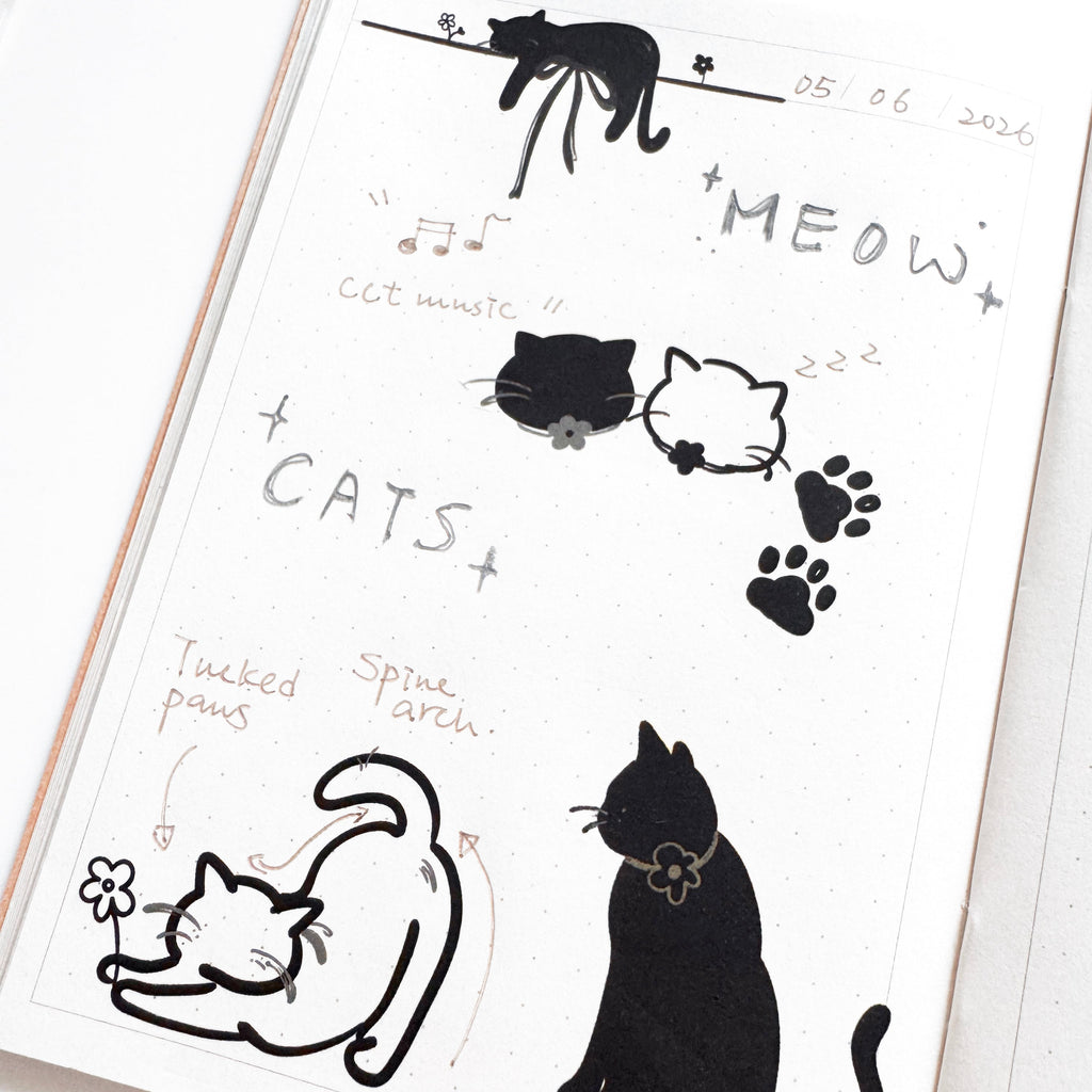 ⋆🐾°MEOW⋆🐾°
