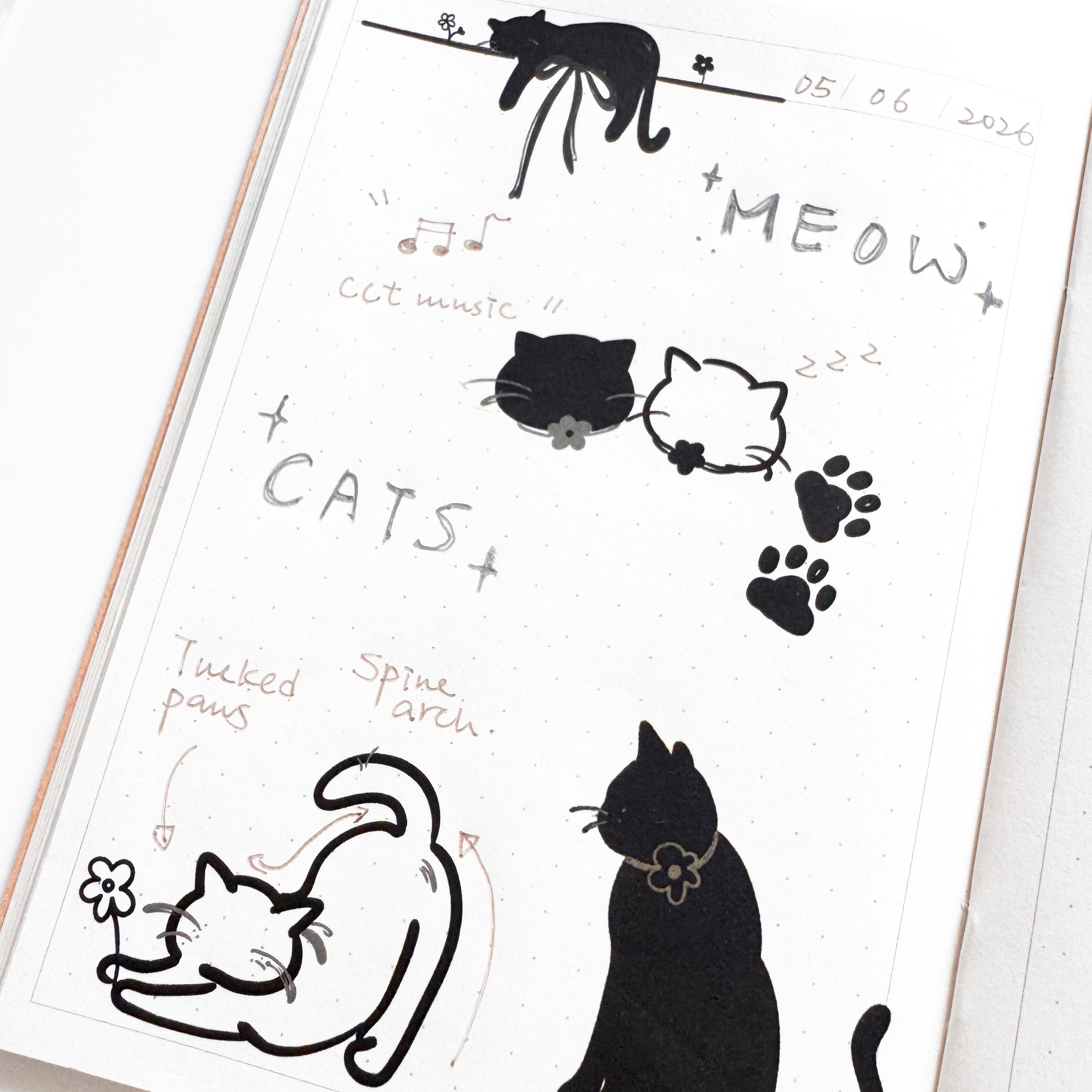 ⋆🐾°MEOW⋆🐾°
