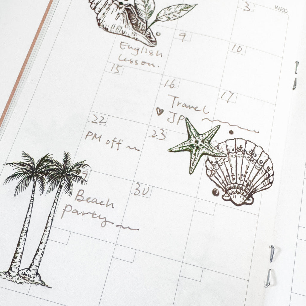Palm & Shell Reverie