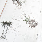 Palm & Shell Reverie