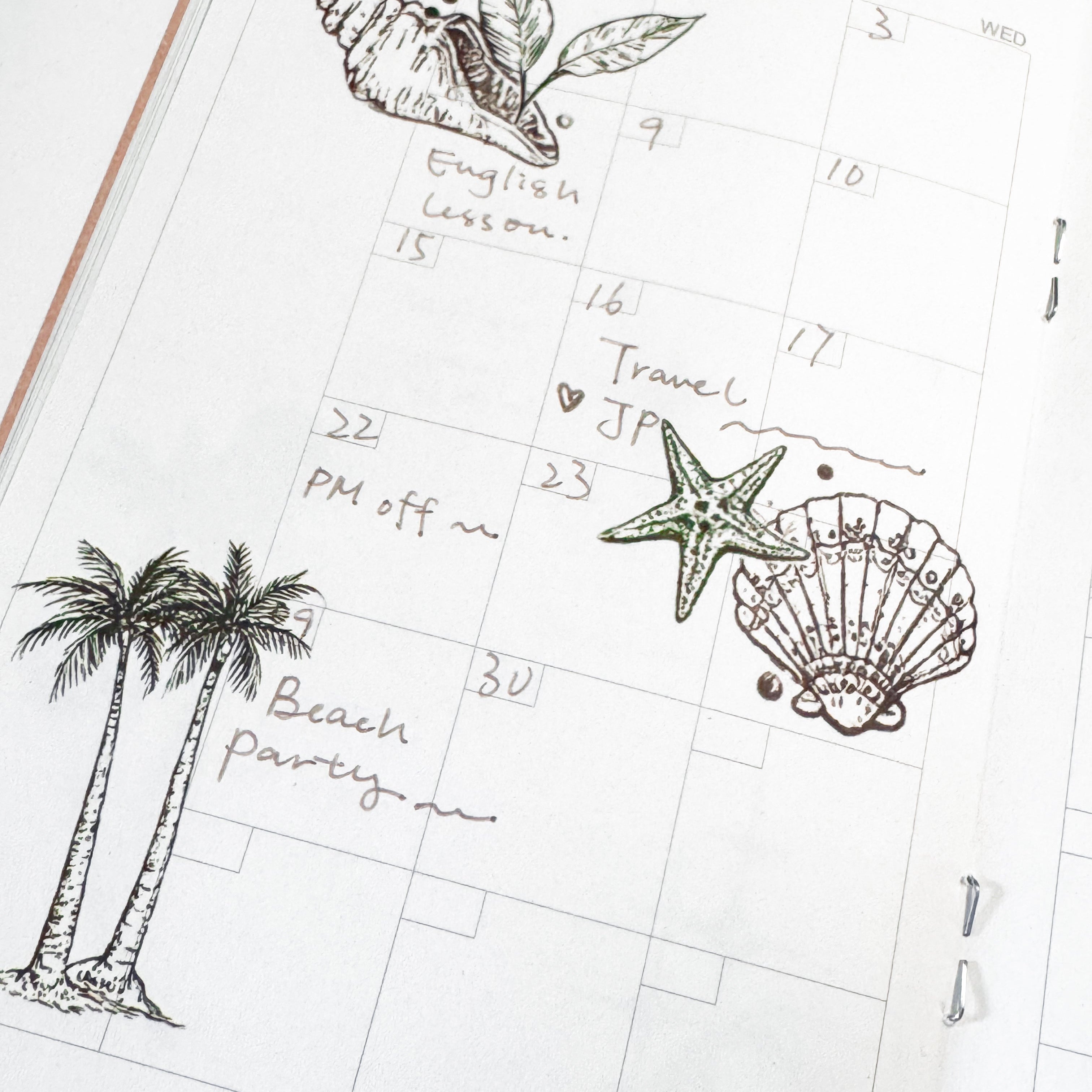 Palm & Shell Reverie