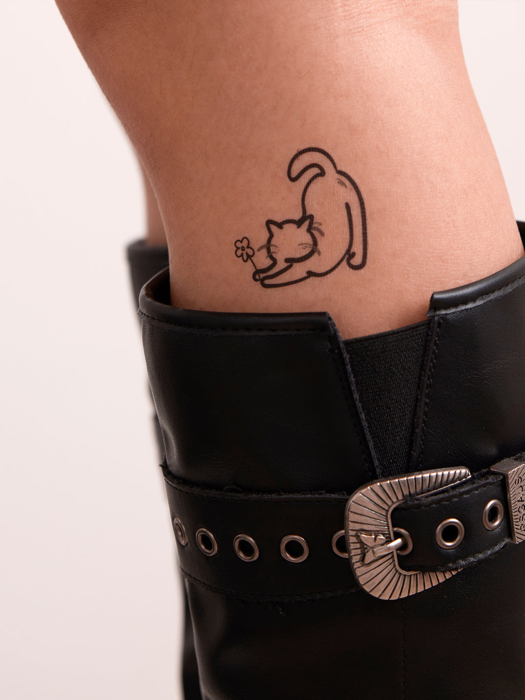 ⋆🐾°MEOW⋆🐾°