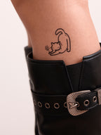 ⋆🐾°MEOW⋆🐾°