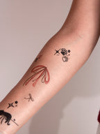 ⋆🐾°MEOW⋆🐾°