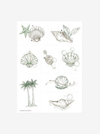 Palm & Shell Reverie